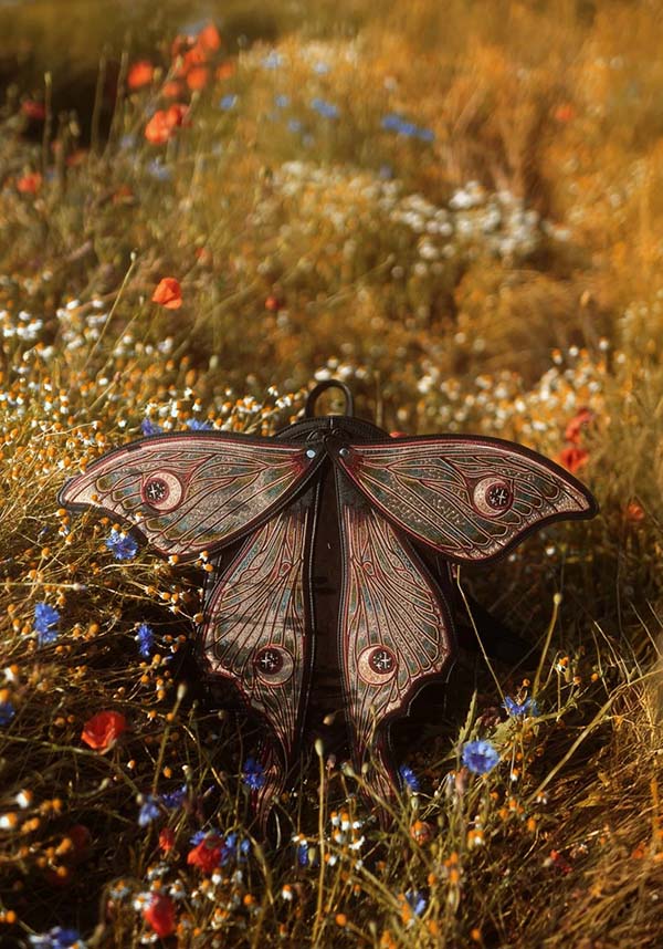 Metamorphosis | BACKPACK