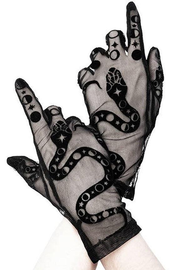 Snake | MESH GLOVES - Beserk - accessories, all, clickfrenzy15-2023, discountapp, fp, gloves, gloves and armwarmers, goth, gothic, gothic accessories, ladies accessories, mesh, nov20, restyle, snake, winter, winter clothing, winter wear, witch, witches, witchy