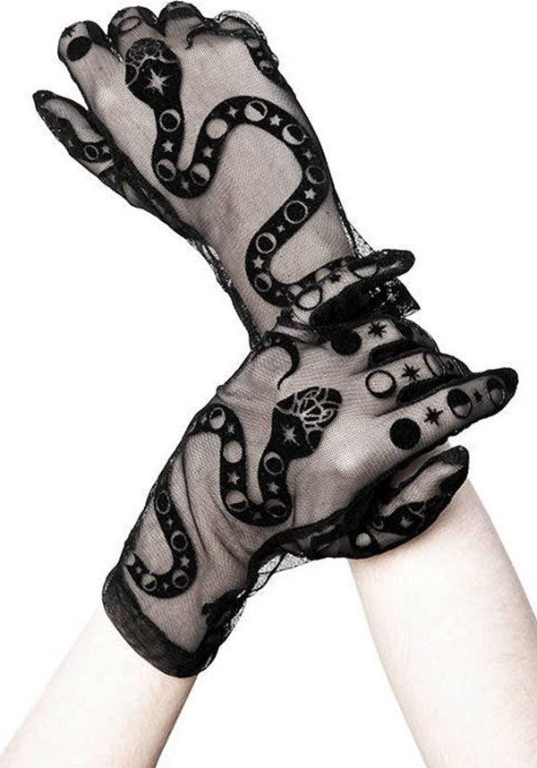 Snake | MESH GLOVES - Beserk - accessories, all, clickfrenzy15-2023, discountapp, fp, gloves, gloves and armwarmers, goth, gothic, gothic accessories, ladies accessories, mesh, nov20, restyle, snake, winter, winter clothing, winter wear, witch, witches, witchy