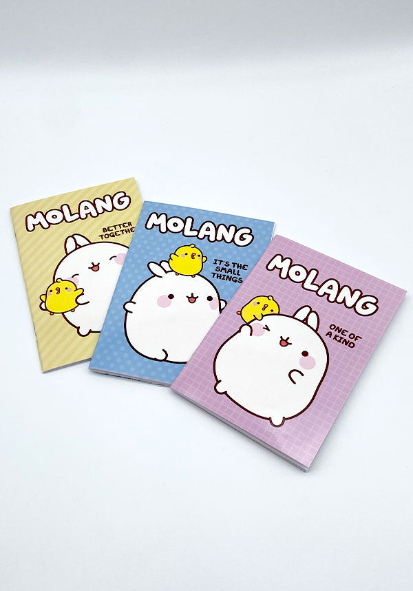 Molang | SHOWBAG