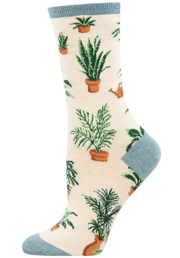 Home Grown | SOCKS