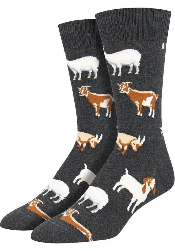 Silly Billy Charcoal | SOCKS^ - Beserk - all, aug20, baby goat, bobangles, clickfrenzy15-2023, cpgstinc, crew socks, discountapp, fp, gift, gift idea, gifts, gifts socks, goat, grey, men, mens, mens accessories, mens clothing, mens socks, mens underwear and socks, socks, winter, winter clothing, winter wear