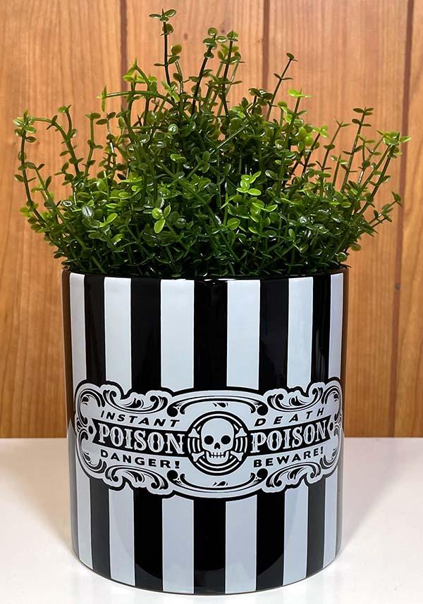 Poison | CERAMIC PLANTER` - Beserk - all, all ladies, black, christmas gift, christmas gifts, clickfrenzy15-2023, discountapp, fp, gift, gift idea, gift ideas, gifts, goth, goth homeware, gothic, gothic gifts, gothic homeware, gothic homewares, home, homeware, homewares, ladies, mothersday, mothersdayplant, nov21, outdoors, plant, planter, plants, R031121, SPP258933, stripe, striped, stripes, stripey