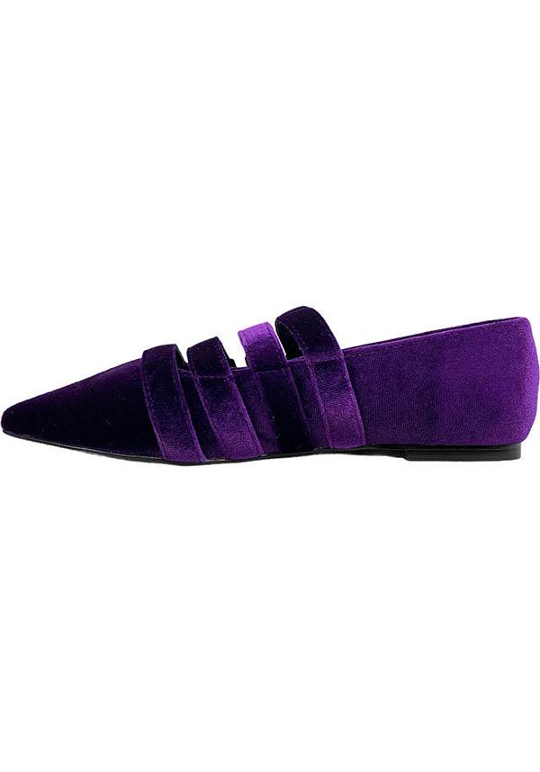 Coven [Purple Velvet] | FLATS** - Beserk - all, clickfrenzy15-2023, discountapp, exclusive, finalsale, flats, flats [in stock], goth, gothic, halloween, instock, jan22, labelexclusive, labelinstock, labelsale, labelvegan, ladies, lastonesale, medieval, mysterypack2023, point, pointed, pointed toe, pointy, purple, R160122, sale, sale shoes, shoes, STR36307, strangecult, strappy, vegan, velvet, velvet shoe, winter, witchy
