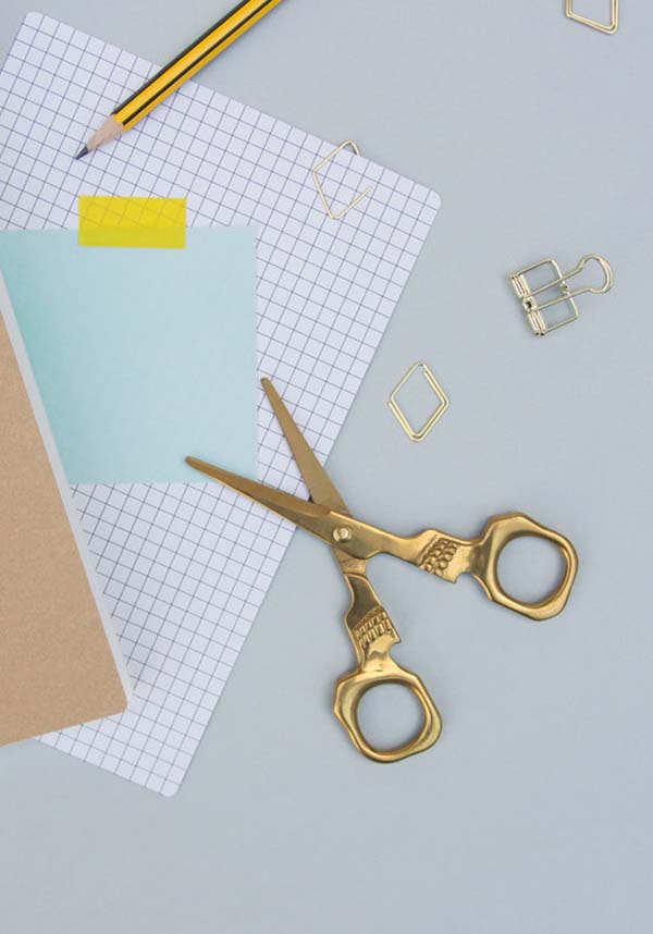 Skull | SCISSORS