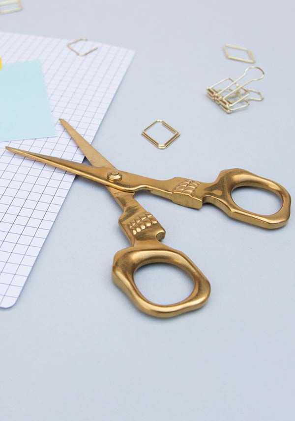 Skull | SCISSORS