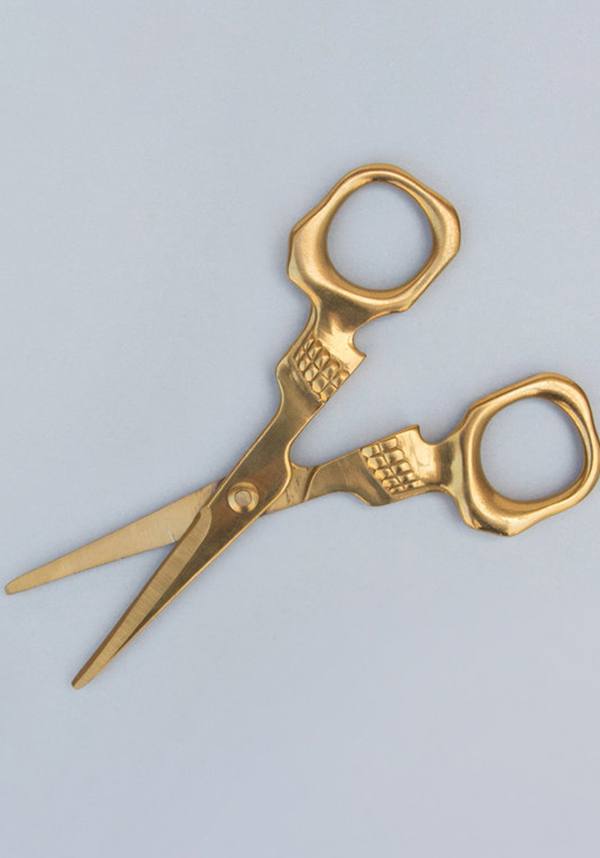 Skull | SCISSORS