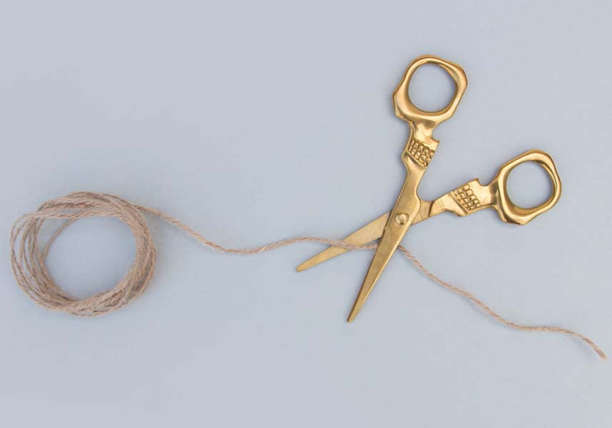 Skull | SCISSORS