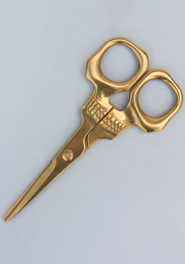 Skull | SCISSORS