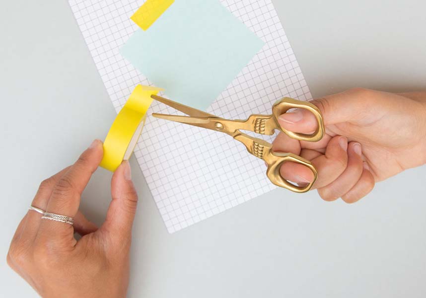 Skull | SCISSORS
