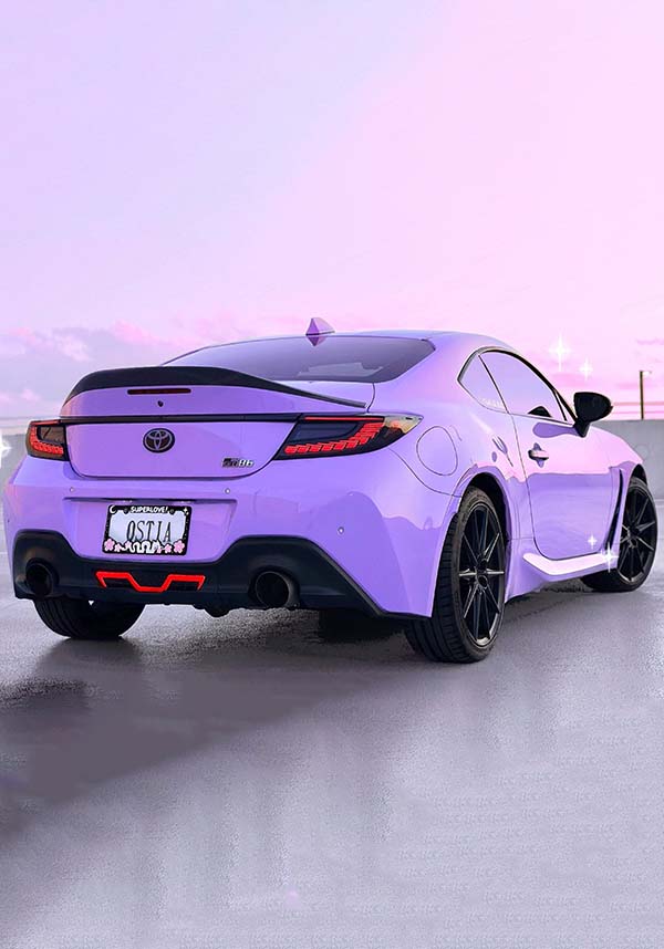 White Dragon | PLATE FRAME