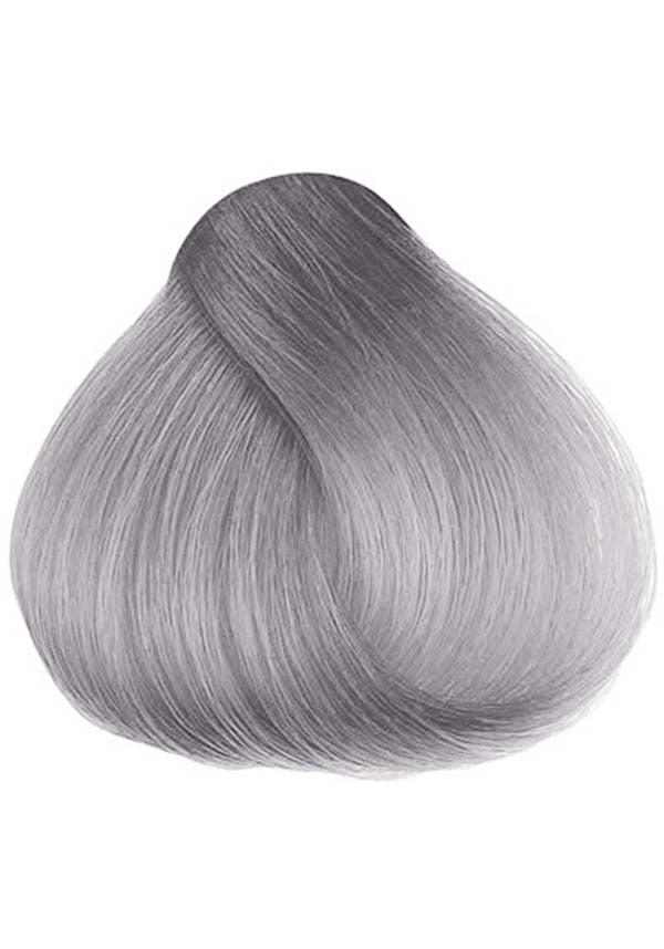 Sylvia Silver | HAIR COLOUR - Beserk - all, clickfrenzy15-2023, cosmetics, discountapp, dye, fp, goth, grey, hair, hair color, hair colour, hair colours, hair dye, hair dyes, hair grey, hair silver, hermans colour, hermans hair colour, labelvegan, silver, vegan