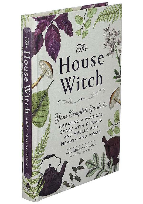the house witch book review