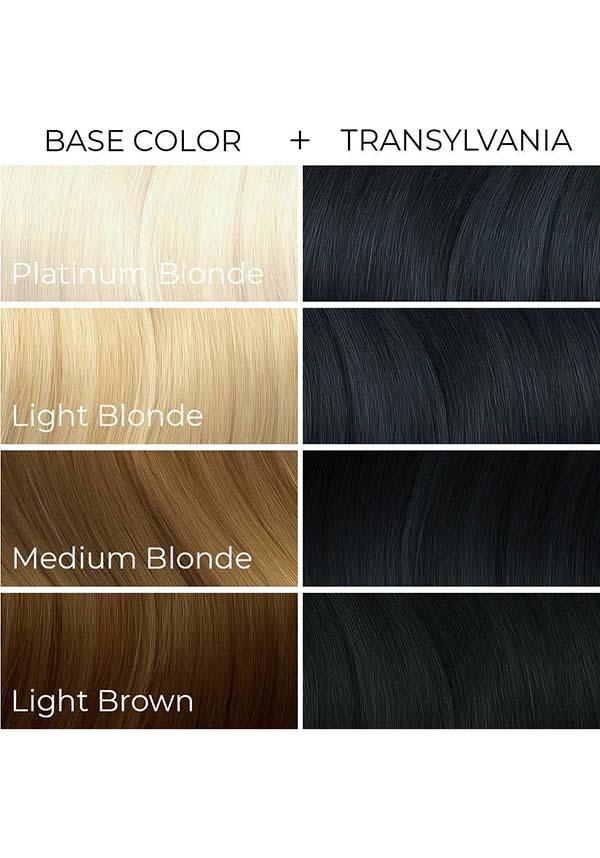 Transylvania | HAIR COLOUR [118ml] - Beserk - all, arctic fox, artic fox, black, clickfrenzy15-2023, cosmetics, discountapp, fp, goth, gothic, hair black, hair colour, hair dye, hair products, labelvegan, lethal industries, vegan