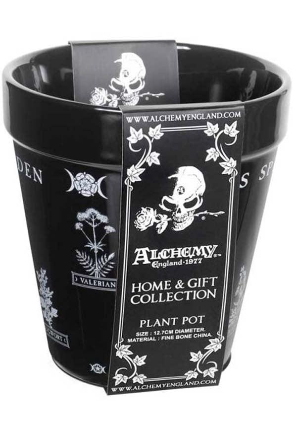 Witches Spell Garden | PLANT POT - Beserk - AGQGUSSZECY, all, clickfrenzy15-2023, discountapp, fp, gift, gift idea, gift ideas, gifts, googleshopping, goth homeware, gothic gifts, gothic homeware, gothic homewares, halloween homeware, halloween homewares, homeware, homewares, mar23, mothersdayplant, office homewares, plant, planter, plants, pot plant, R150323, witch, witchy
