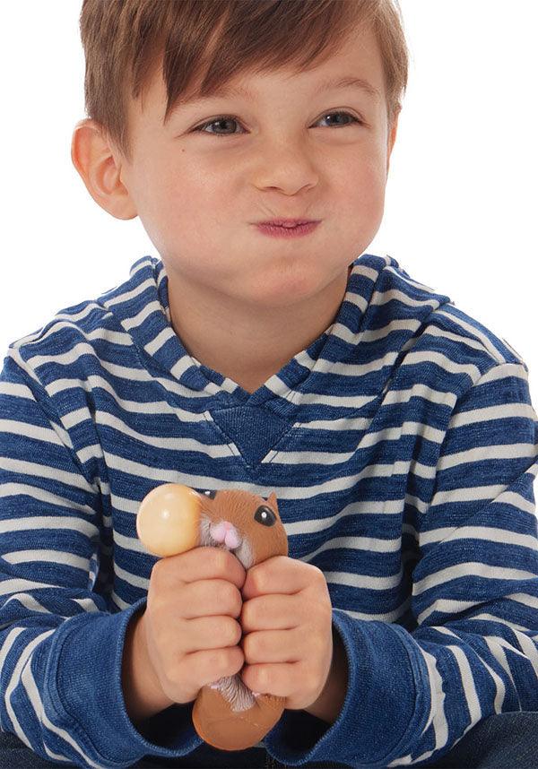 Chonky Cheeks | HAMSTERS - Beserk - all, all ladies, christmas gift, christmas gifts, clickfrenzy15-2023, collect, collectable, collectables, cpgstinc, cute, cute animals, discountapp, feb23, fp, gift, gift idea, gift ideas, gifts, googleshopping, kid, kids, kids gift, kids gifts, kids toy, ladies, miscellaneous, R270223, squishy, stress, stress ball, toy, toys, williamvalentine, WV0013214
