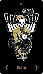 The Macabre | TAROT DECK^ at $44.95 only from Beserk